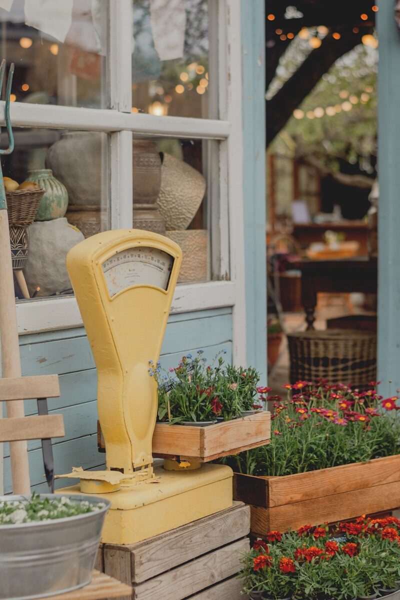 Yellow vintage scale with potted flowers outside shop display