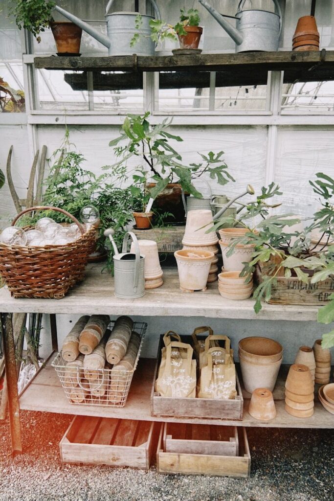 Greenhouse interior with plants and gardening tools